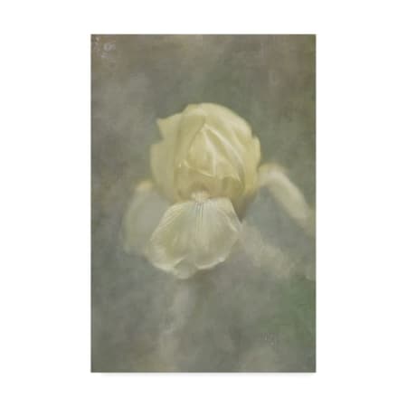 Trademark Fine Art